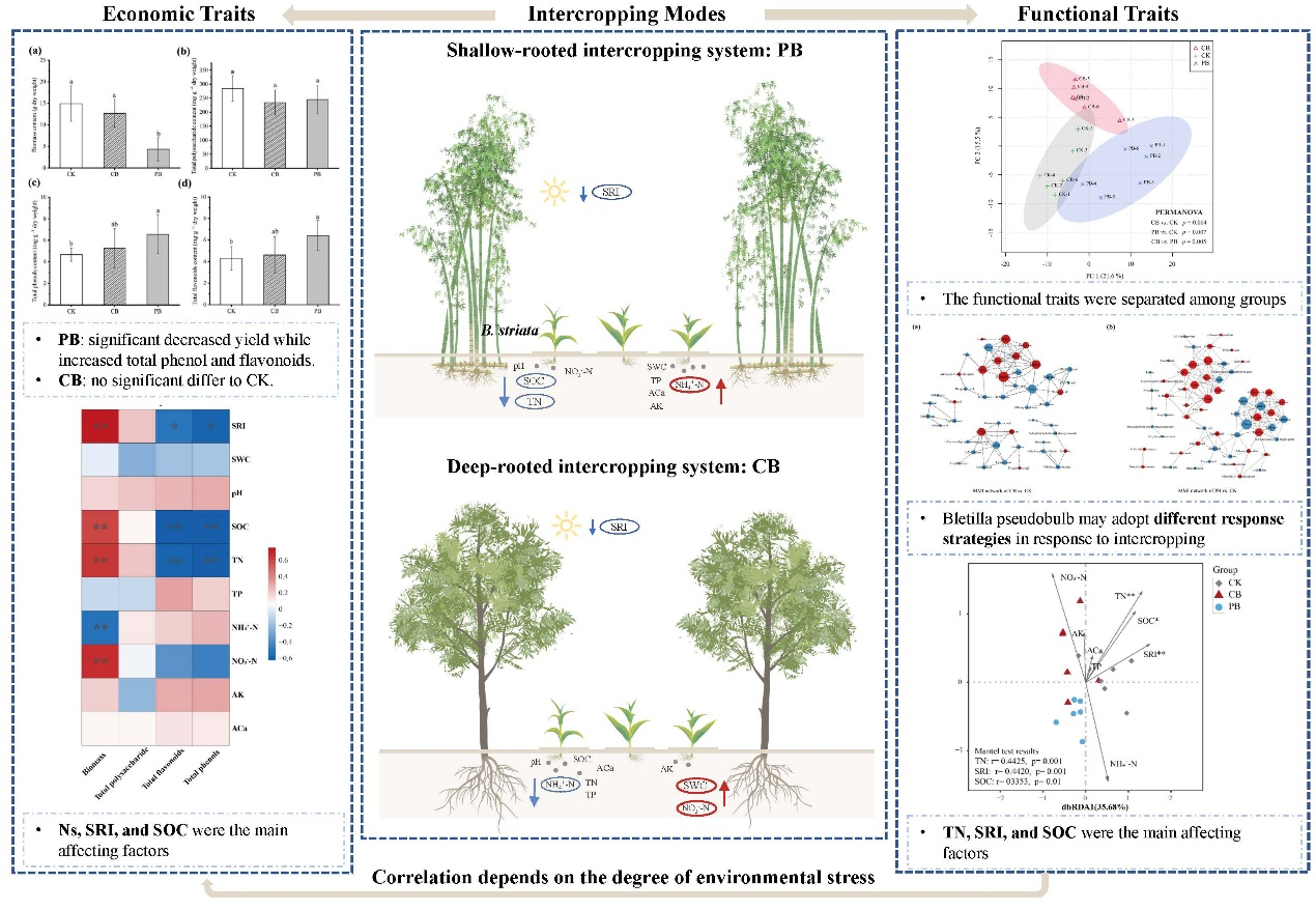 我院博士研究生在植物科学领域Top期刊《Frontiers in Plant Science》发表最新研究成果安徽农业大学林学与园林学院