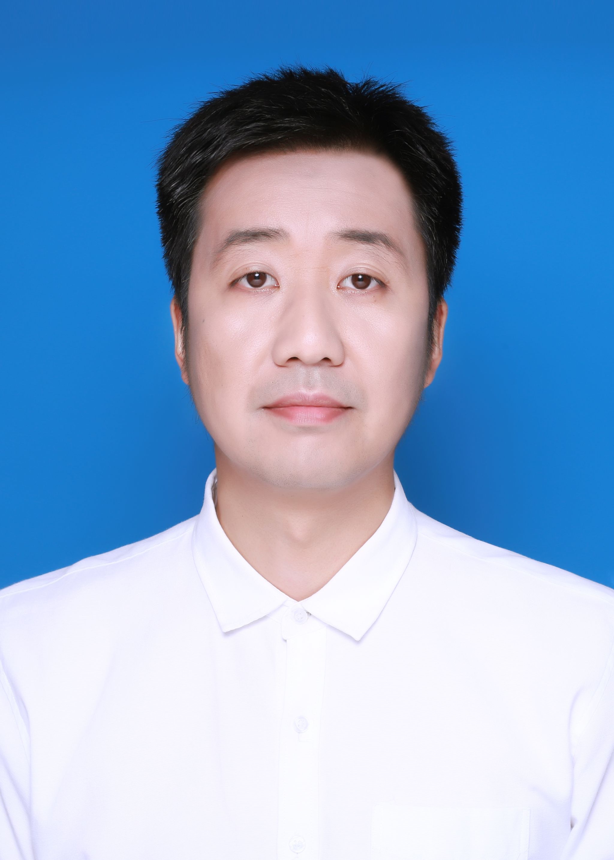 陈 枫