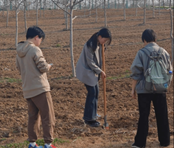 2025-03-18 09:36:16.651000